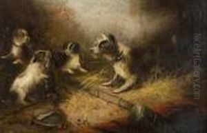 Terriers In A Barn Ratting