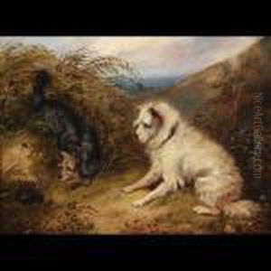 Terriers At A Rabbit Hole Terriers At A Rabbit Hole