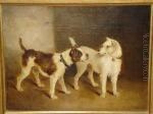 A Study Of Two Terriers, Oil On Canvas - view 1