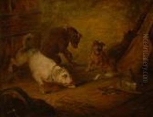 Terriers Ratting