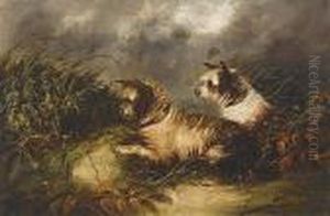 Terriers by George Armfield