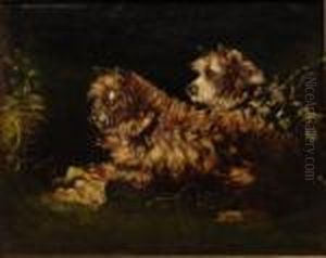 A Pair Of Long Haired Terrriers by George Armfield