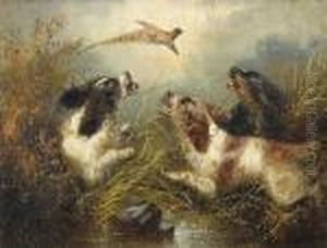 Spaniels Putting A Pheasant Up by George Armfield