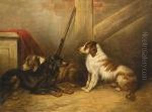 Spaniels In A Barn