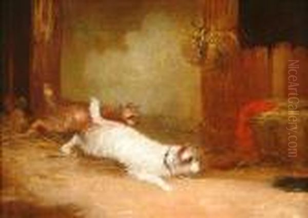 Terriers Ratting Apair - view 1