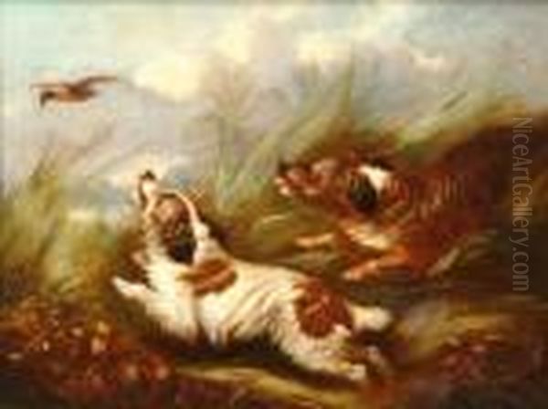 Two Spanielsputting Up Woodcock - view 1