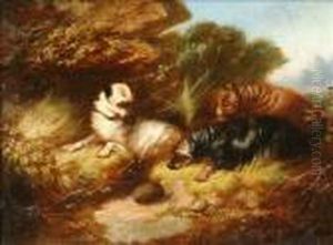 Three Terriersworrying A Hedgehog
