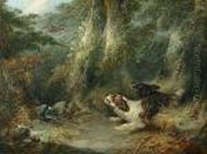 Springer Spaniels Flushing Out A Woodcock