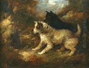 Terriers by George Armfield