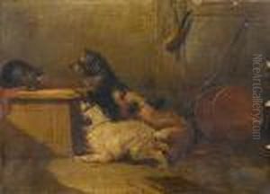 Cornered by George Armfield