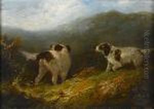 Setters by George Armfield