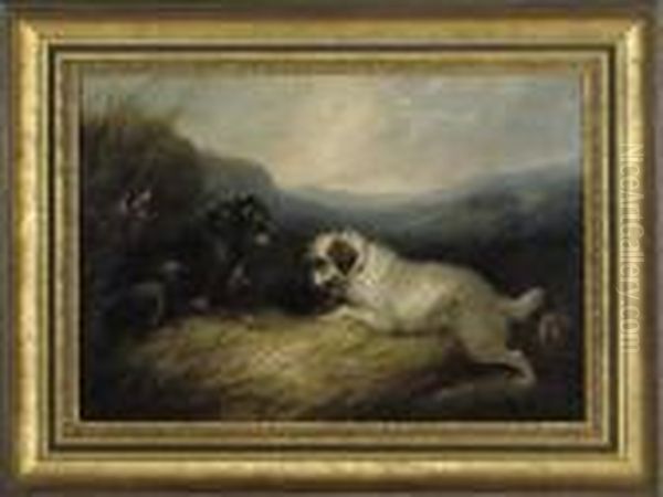 Terriers At A Rabbit Hole - view 1