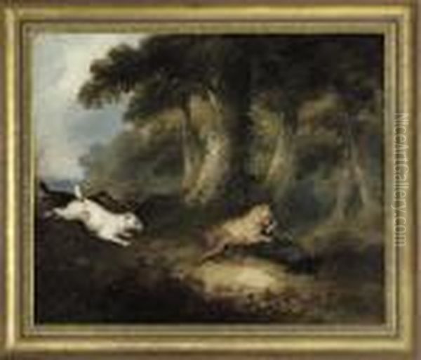 Terriers Attacking A Badger - view 1