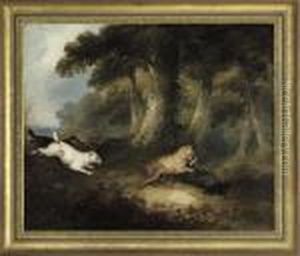 Terriers Attacking A Badger by George Armfield