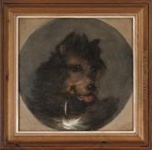 A Young Terrier