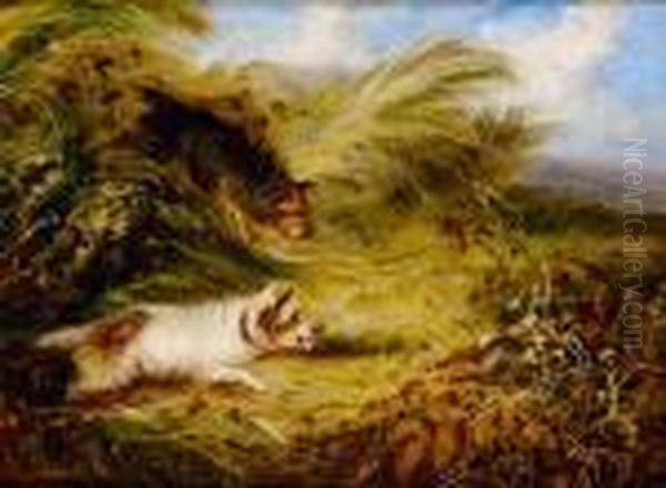 Two Terriers Chasing A Rabbit - view 1