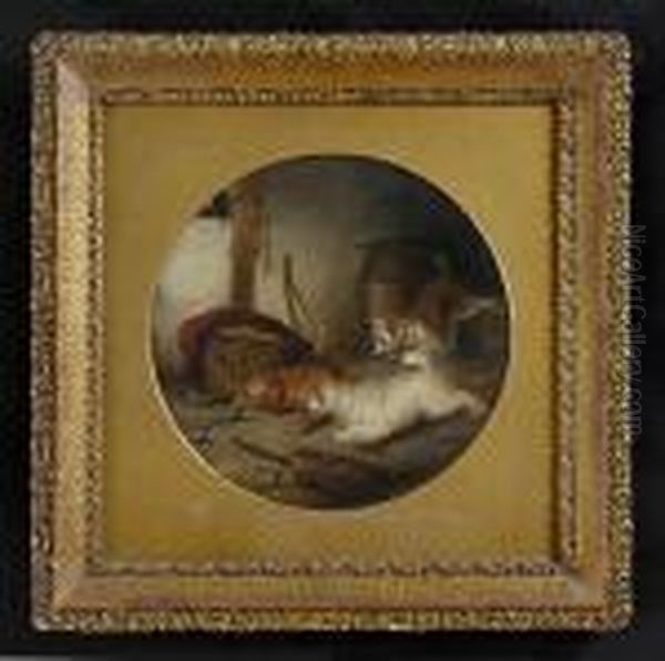 Ratting Terriers - view 1