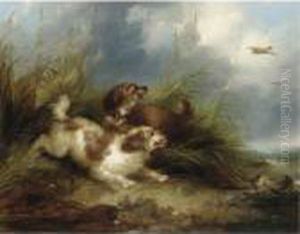 Spaniels Flushing Mallard