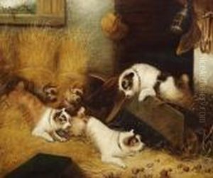 Five Dogs Playing In A Stable