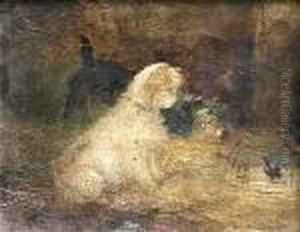 The Bird Cage by George Armfield