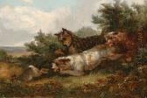 Terriers by George Armfield