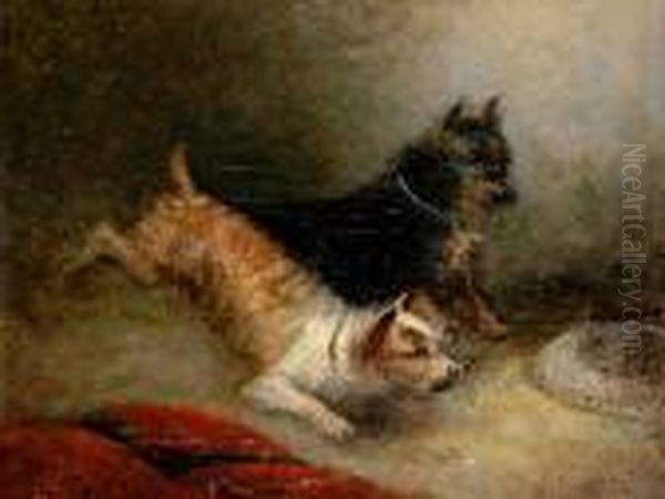 Two Terriers - view 1