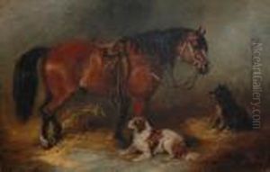 A Pony And Two Dogs In A Loose Box.