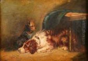 Board Terrier And Spaniel Dog By A Table Board Terrier And Spaniel Dog By A Table