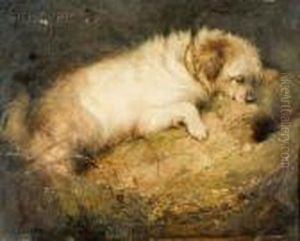 Burrowing by George Armfield