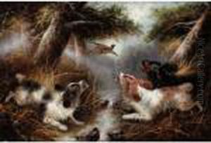 Spaniels And A Pheasant by George Armfield