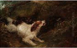 Spaniels And Woodcock by George Armfield