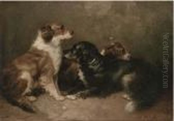 Resting Setters - view 1