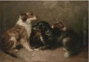 Resting Setters by George Armfield