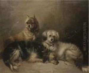 Three Mischievous Terriers by George Armfield