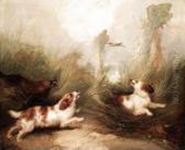 Gun Dogs In The Long Grass - view 1
