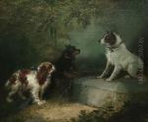 Bounty The Flirt by George Armfield