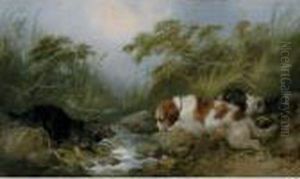 Three Dogs By A Brook by George Armfield