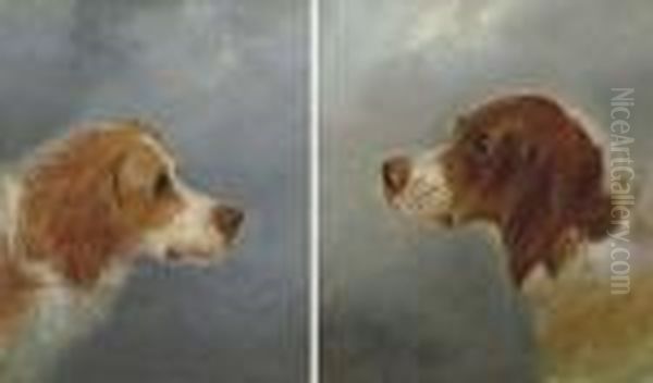 A Pair Of Spaniels - view 1