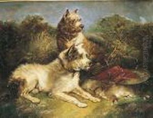 Dos Terriers En Un Paisaje