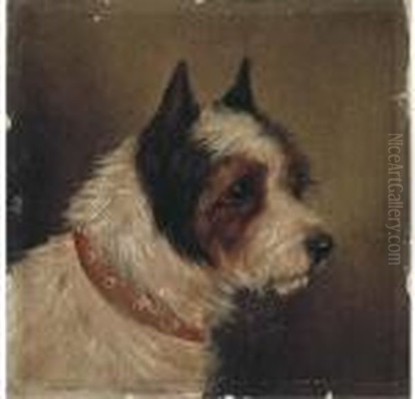 The Head Of A Terrier - view 1