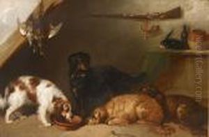 Gun Dogs