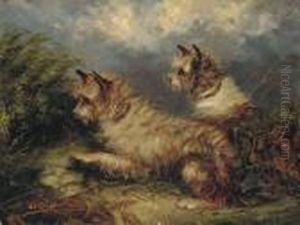 Terriers At A Rabbit Hole Terriers At A Rabbit Hole