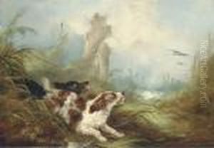 Spaniels Flushing Out Mallards by George Armfield