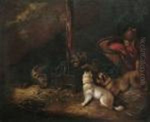 Terriers In A Barn Interior by George Armfield