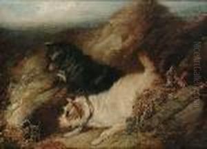 Terriers Rabbiting by George Armfield