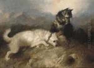 Terriers At A Rabbit Hole by George Armfield