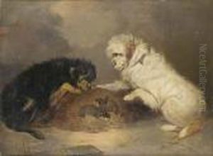 Terriers And A Rat Cage