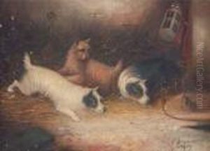 Trois Fox-terriers Jouant Avec Une Souris Dans Une Cage by George Armfield