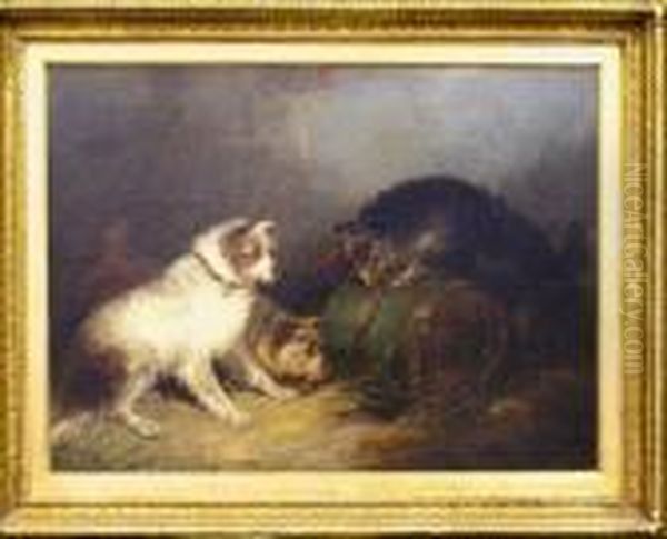Terriers Ratting - view 1