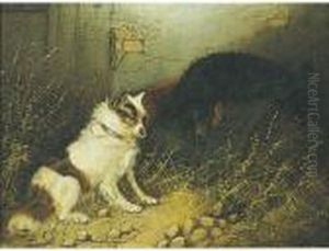 Terriers Ratting: A Pair Of Paintings